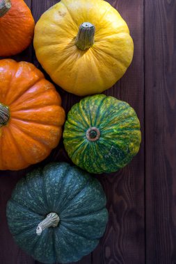 Kabakların Çeşitliliği 