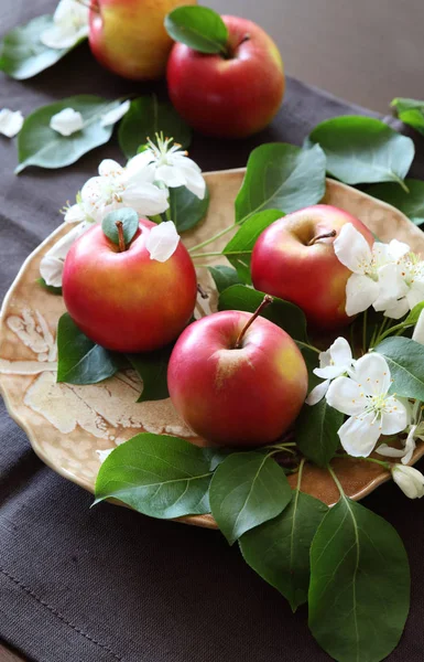 Pommes Mûres Vue Dessus — Photo