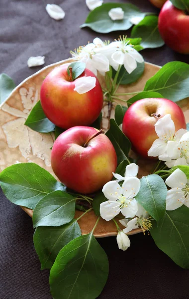 Pommes Mûres Vue Dessus — Photo