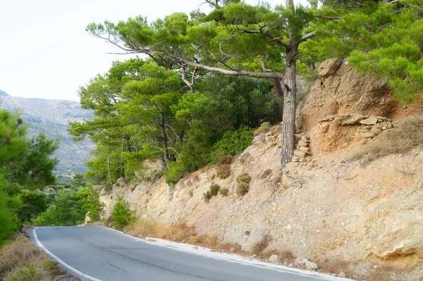 asphalt road in the Mediterranean mountains covered with pine trees