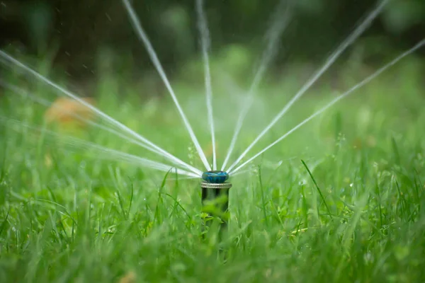 Garten Automatisches Bewässerungssystem Sprüht Rasen — Stockfoto