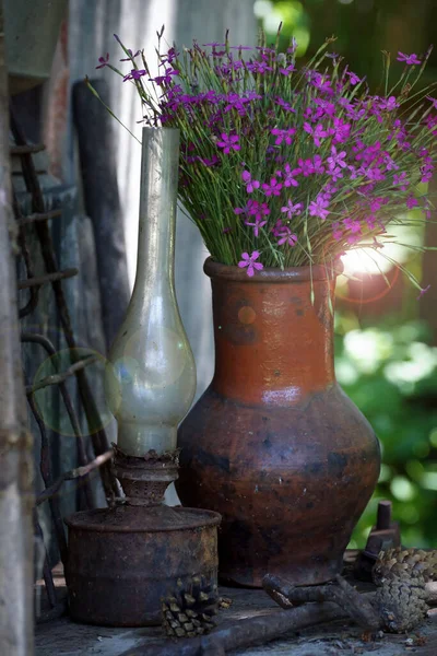 Nature Morte Dans Style Vintage Pot Argile Avec Des Fleurs — Photo