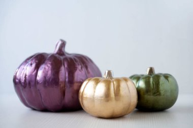 Cadılar bayramı partisi için çeşitli balkabağı çeşitleri..