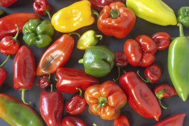 Siyah arkaplanda yeşil, sarı ve kırmızı dolma biber izole edilmiş.