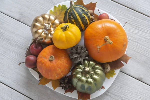 Variado Surtido Calabazas Para Decorar Para Fiesta Halloween — Foto de Stock