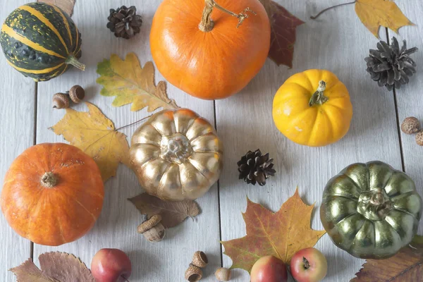 Assortiment Varié Citrouilles Décorer Pour Fête Halloween — Photo