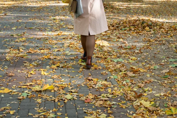 Beine Eines Mädchens Das Einem Herbstlichen Park Auf Fallendem Laub — Stockfoto