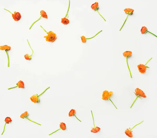 Blommig Textur Mönster Eller Tapet Ljusa Orange Ranunculus Blommor Över — Stockfoto