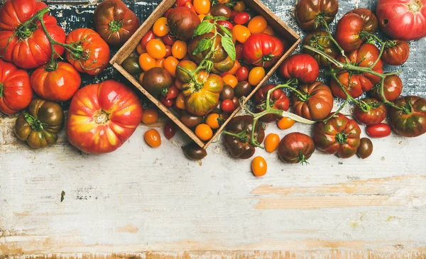 Fresh Colorful Ripe Fall Summer Heirloom Bunch Cherry Tomatoes Veriety — Stock Photo, Image