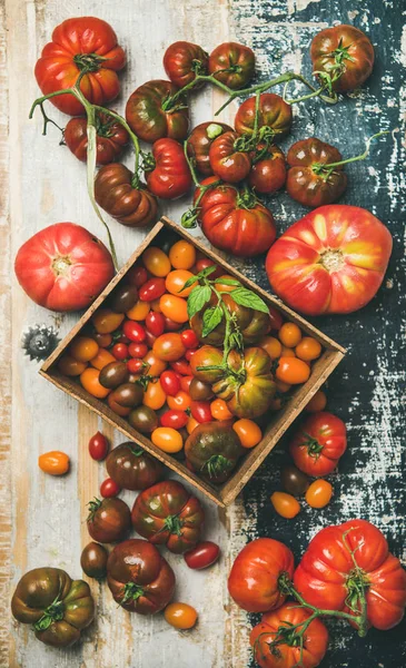 Fresh Colorful Ripe Fall Summer Heirloom Bunch Cherry Tomatoes Rustic — Stock Photo, Image