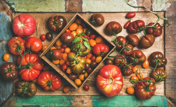 Fresh Colorful Ripe Fall Summer Heirloom Bunch Cherry Tomatoes Variety — Stock Photo, Image