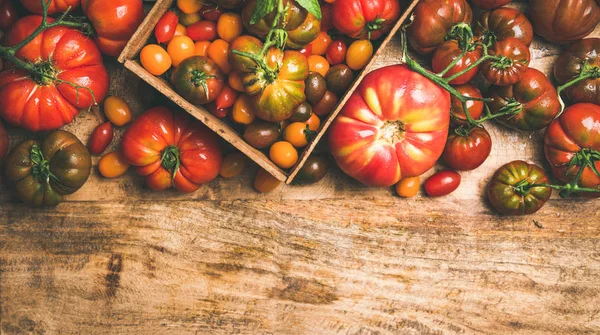 Fresh Colorful Ripe Fall Summer Heirloom Bunch Cherry Tomatoes Veriety — Stock Photo, Image