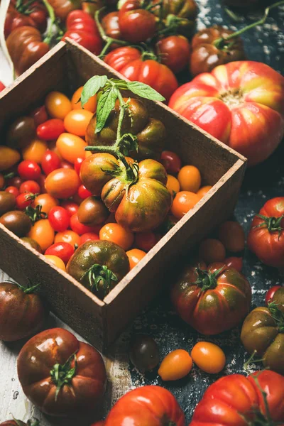 Fresh Colorful Ripe Fall Summer Heirloom Bunch Cherry Tomatoes Rustic — Stock Photo, Image