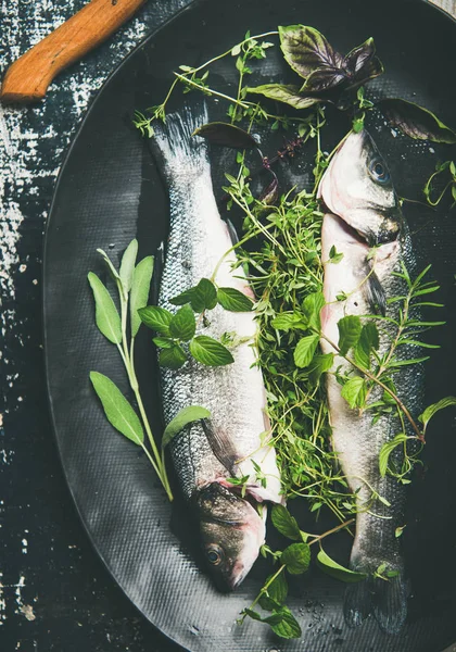 Peixe Cru Robalo Não Cozido Com Ervas Verdes Frescas Placa — Fotografia de Stock