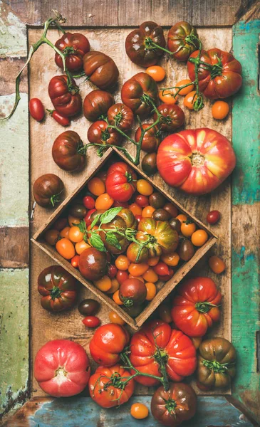 Verse Kleurrijke Rijp Val Zomer Heirloom Bos Cherry Tomaten Veriety — Stockfoto