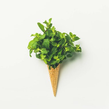 Tatlı waffle dondurma külahı ile beyaz arka plan üzerinde taze yeşil nane demet