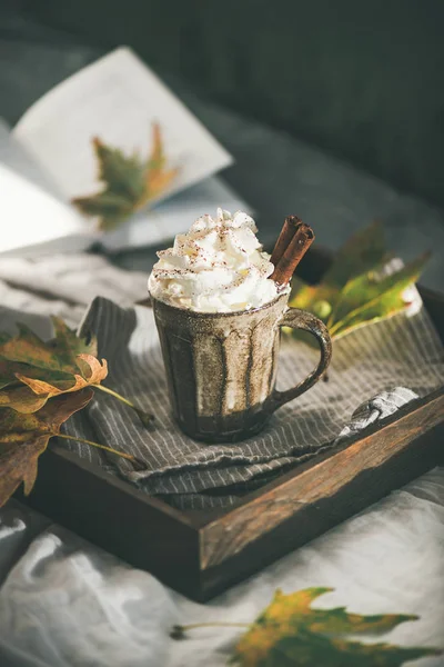 Autumn Winter Hot Chocolate Coffee Whipped Cream Cinnamon Rustic Mug — Stock Photo, Image