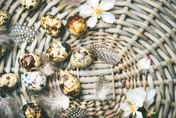 Easter Holiday Background Flat Lay Natural Colored Quail Eggs Tender — Stock Photo, Image