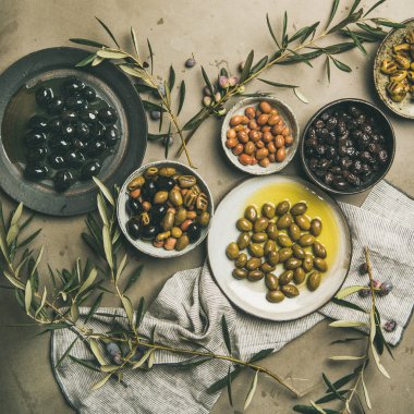 Düz-lay Akdeniz'in çeşitli Salamura Zeytin plakaları ve zeytin ağacı dalları gri beton tablo arka plan, üstten görünüm, kopya alanı, üzerinde kare kırpma. Akdeniz meze meze