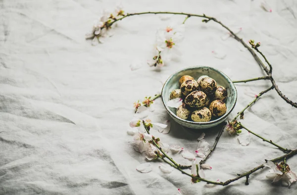 Easter Holiday Spring Mood Quail Eggs Blue Ceramic Bowl Blooming — Stock Photo, Image