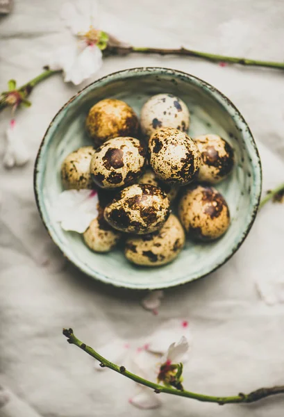 Easter Holiday Spring Mood Flat Lay Quail Eggs Blue Ceramic — Stock Photo, Image