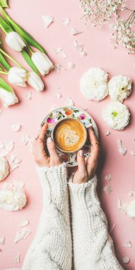 Düz-elbise Bayan elleri örme kazak kahve, taze Beyaz Lale ve Buttercup çiçekler pembe arka plan, üst görünüm üzerinde tutuyor. Spring Vibes veya Womens Day tatil konsepti