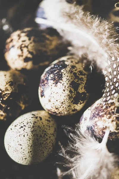 Easter Holiday Greeting Card Natural Colored Quail Eggs Feathers Basket — Stock Photo, Image