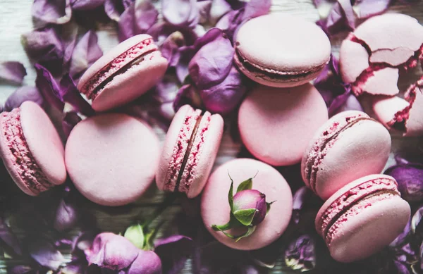 Galletas Macaron Rosadas Dulces Brotes Rosa Lila Pétalos Sobre Fondo —  Fotos de Stock