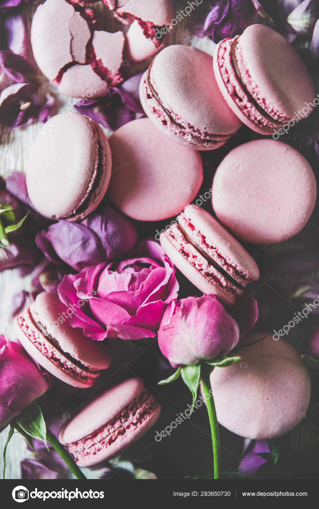 Sweet Pink Macaron Cookies Spring Rose Flowers Buds Petals Wooden Stock Photo By C Sonyakamoz
