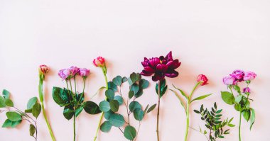 Çeşitli yaz çiçekleri düz-Lay. Mor peonies, pembe güller, lale ve pastel pembe arka plan üzerinde yeşil dalları, üst görünüm, kopya alanı. Çiçek dokusu, duvar kağıdı ve arka plan kavramı