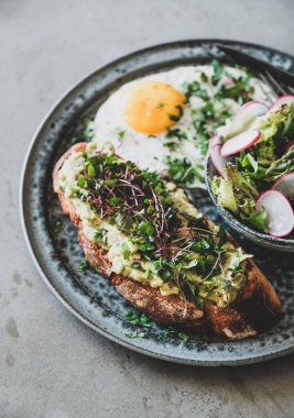 Sağlıklı trendy kahvaltı. Otlar ve lahana ile ekşi hamur ekmek avokado tost, kişniş ve gri arka plan üzerinde turp ile salata ile kızarmış yumurta. Dengeli beslenme, temiz beslenme, vejetaryen yemek