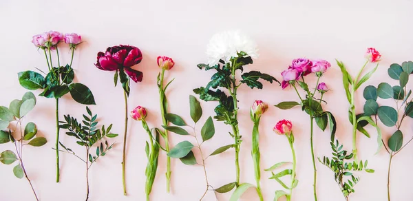 Varias Flores Verano Planas Peonías Púrpuras Rosas Tulipanes Rosados Crisantemos — Foto de Stock