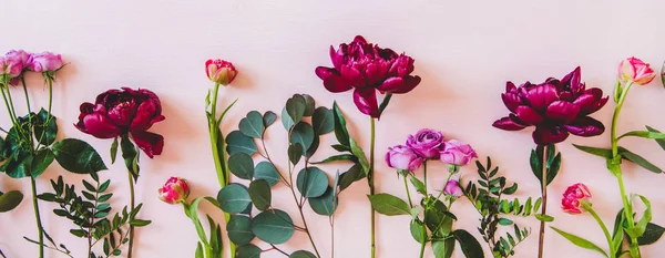 Летние Цветы Фиолетовые Пионы Розовые Пионы Тюльпаны Зеленые Ветки Розовом — стоковое фото
