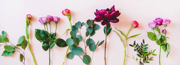 Varias Flores Verano Planas Peonías Púrpuras Rosas Rosadas Tulipanes Ramas — Foto de Stock