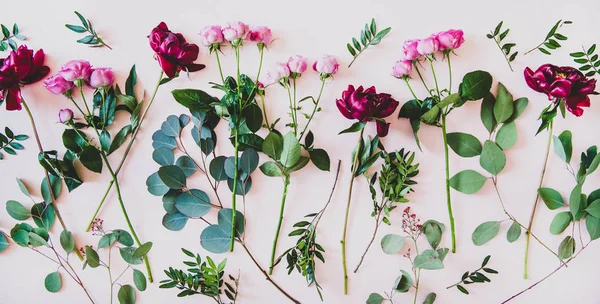 Varias Flores Verano Planas Peonías Púrpuras Rosas Rosadas Ramas Verdes — Foto de Stock