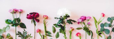 Çeşitli yaz çiçekleri düzleştirilmiş. Mor şakayıklar, pembe güller ve laleler, beyaz kasımpatılar ve yeşil dallar pastel pembe arka plan, üst manzara, kopyalama alanı, geniş kompozisyon