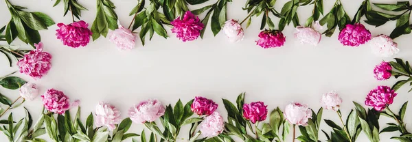 Diseño Flores Verano Fondo Textura Colocación Plana Flores Peonía Rosa —  Fotos de Stock