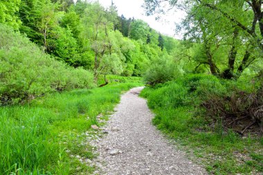Tuna 'daki subatan (Almanca: Donauversinkung veya Donauversickerung) Immendingen yakınlarında.