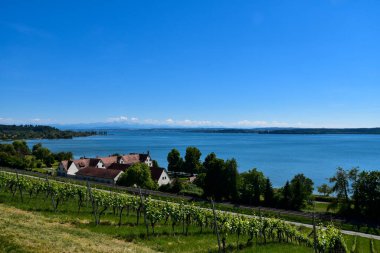 Constance Gölü 'nün Alman kıyıları.