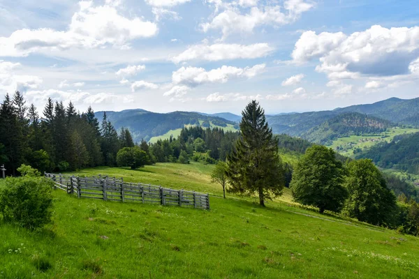 Czarny Las Krajobraz Belchen — Zdjęcie stockowe