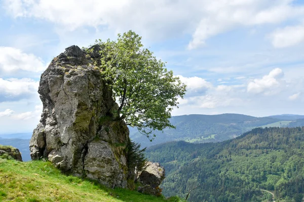 Formacja Skalna Hochfelsen Górze Belchen Czarny Las — Zdjęcie stockowe