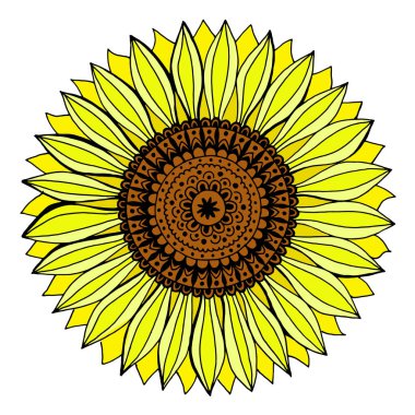 Bir ayçiçeğinin vektör çizimi, sarı bir çiçeğin duble çizimi, çiçek dolu desen, bir güneş çiçeğinin serbest çizimi, dekor için element, tekstil, tasarım