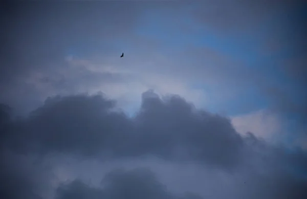 Nuvens Fofas Cobrem Céu Azul Verão — Fotografia de Stock