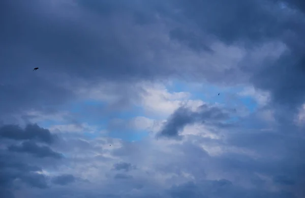 Nuvens Fofas Cobrem Céu Azul Verão — Fotografia de Stock