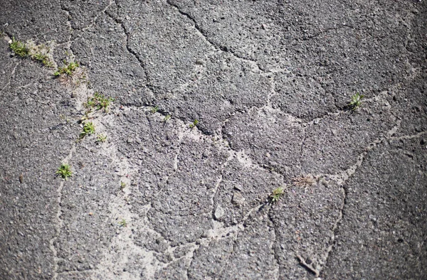 Broken Asphalt Cracks Road Surface — Stock Photo, Image