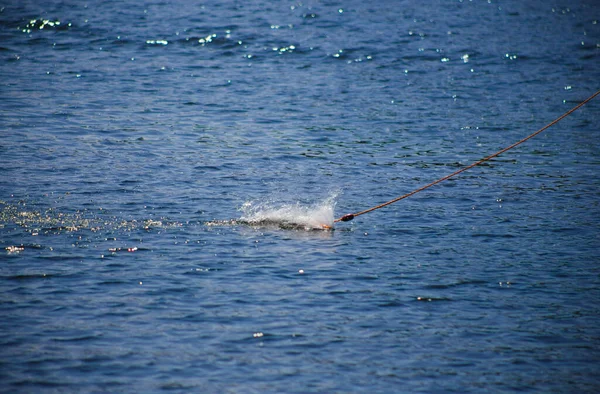 Der Griff Den Man Beim Wakeboardfahren Hält Springt Aufs Wasser — Stockfoto