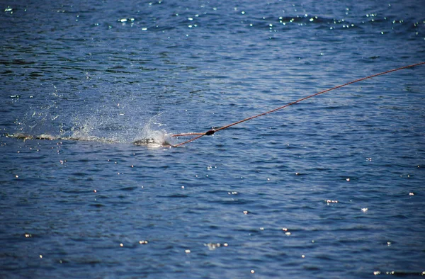 Der Griff Den Man Beim Wakeboardfahren Hält Springt Aufs Wasser — Stockfoto