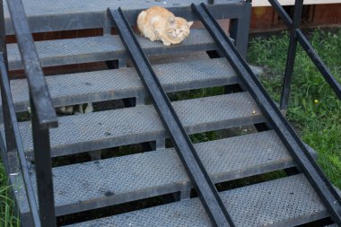 Engelliler ve hareket kabiliyetini azaltanlar ya da tekerlekli sandalyeli ya da bisikletli olanlar için rampaName