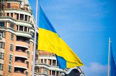 Ulusal bağımsız Ukrayna bayrağı rüzgarda sallanıyor