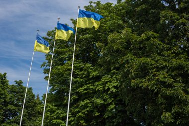 Ulusal bağımsız Ukrayna bayrağı rüzgarda sallanıyor